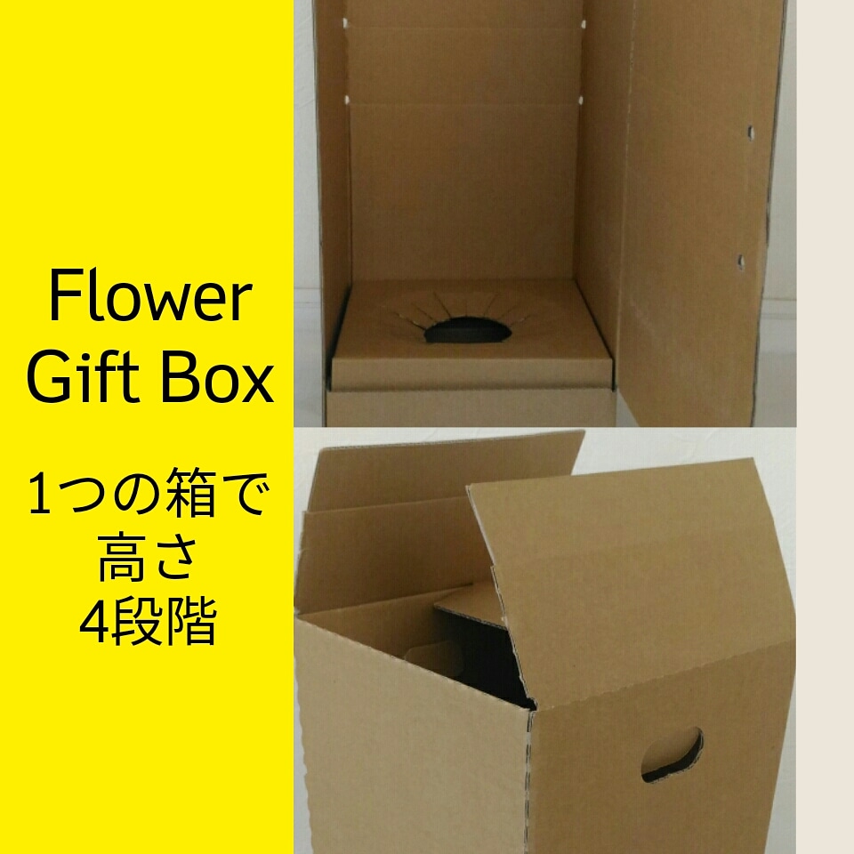 鉢花用発送箱（小）