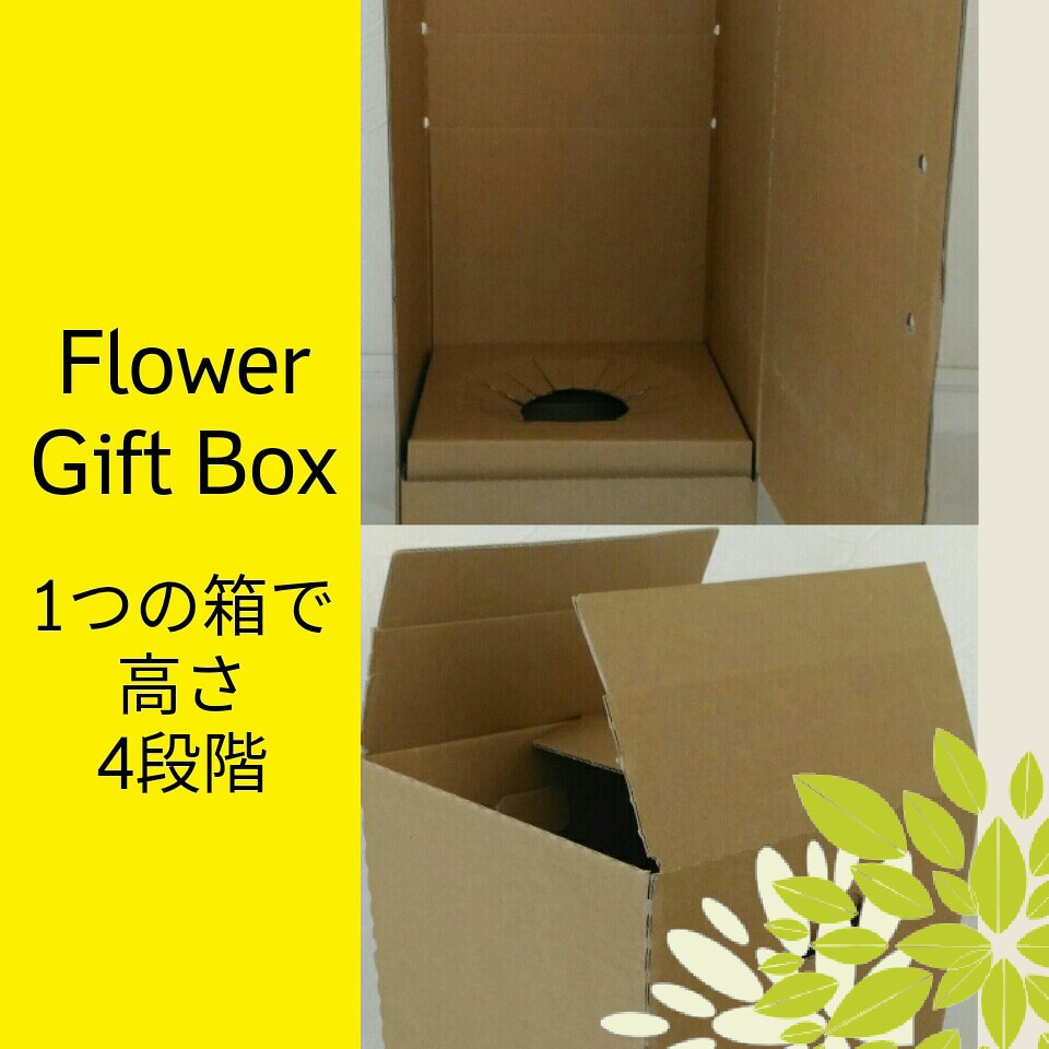 鉢花用発送箱（中）